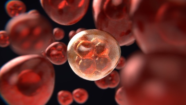 mitosis-3876669 1280