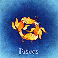 12 雙魚 fish-s